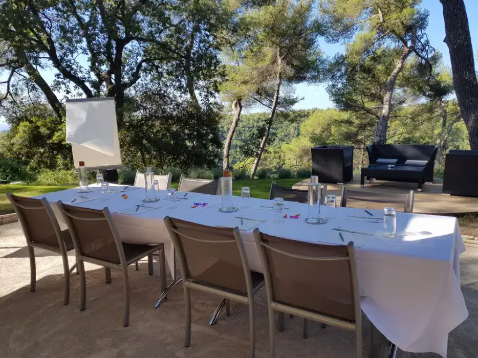 Hôtel Restaurant et Spa Cantemerle 12