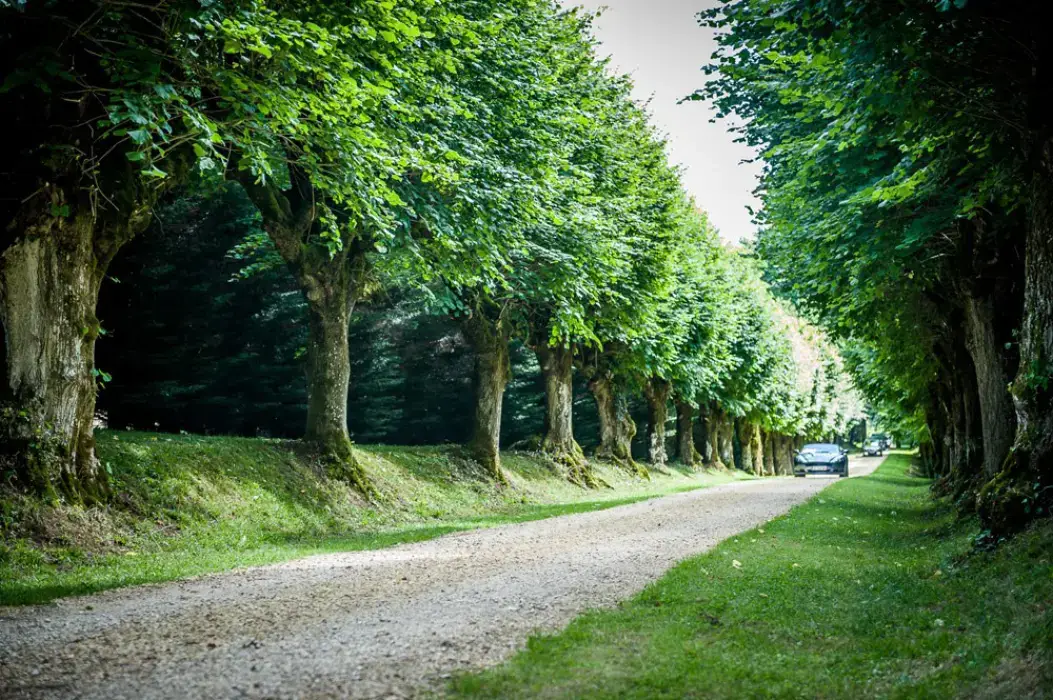 Château de la Borderie 5