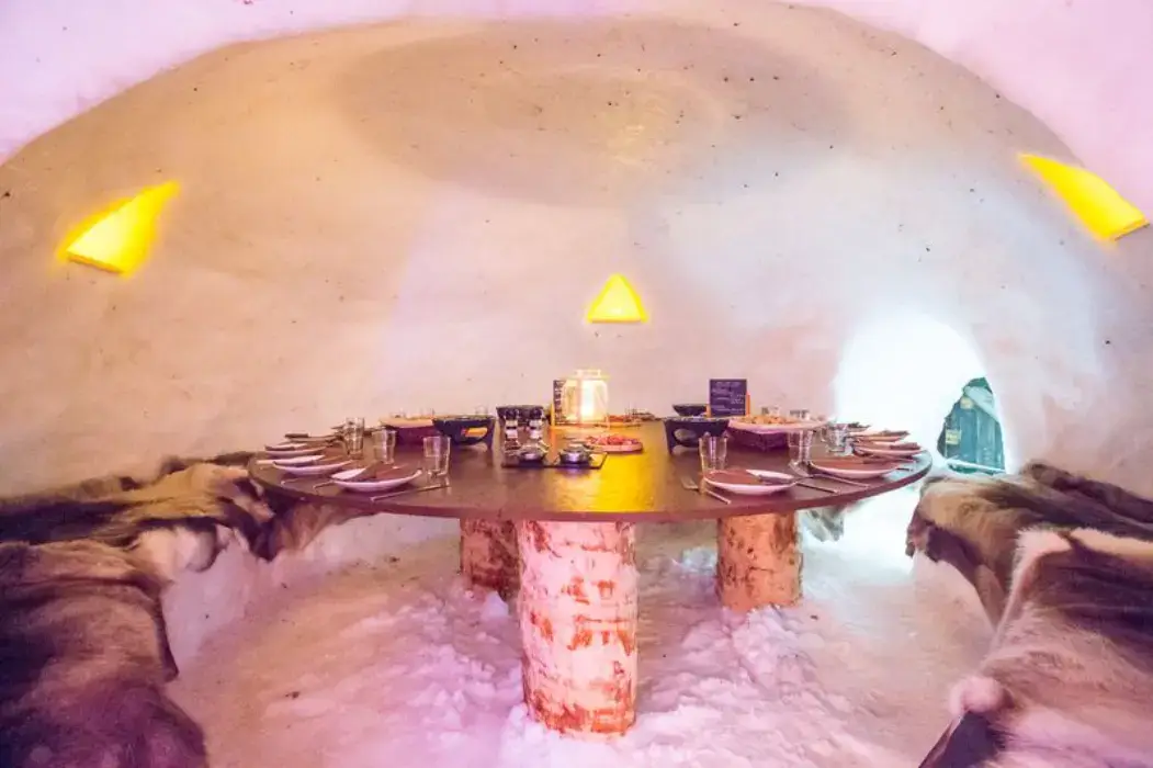 Village Igloo Blacksheep 4