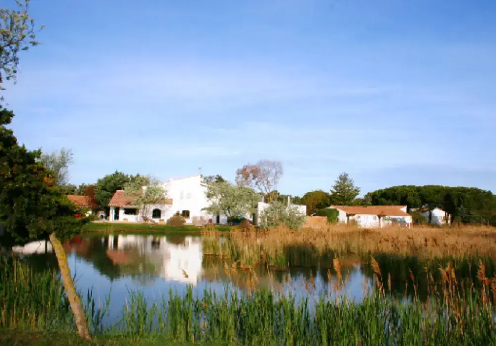 Hôtel les Rizières