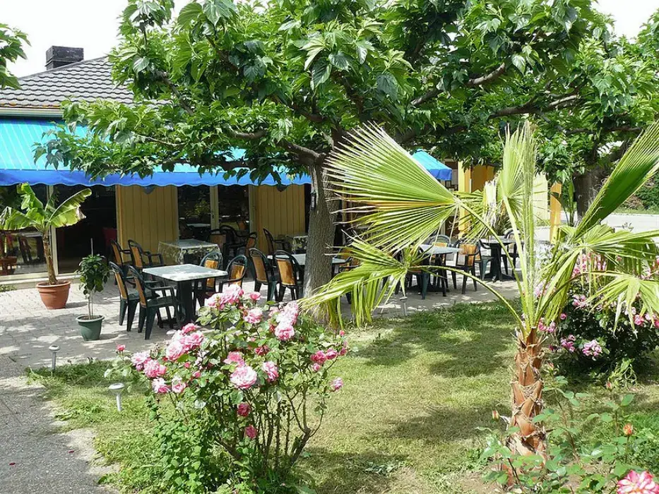 Acotel Confort 2