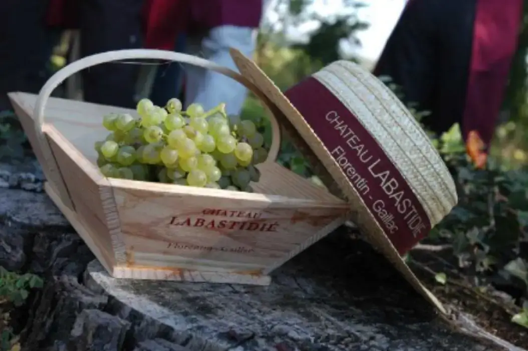Château Labastidie 6