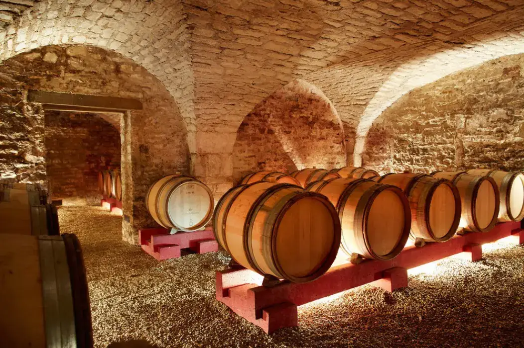 Château de Chamirey 8