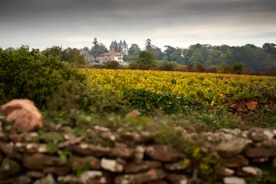 Château de Chamirey 9