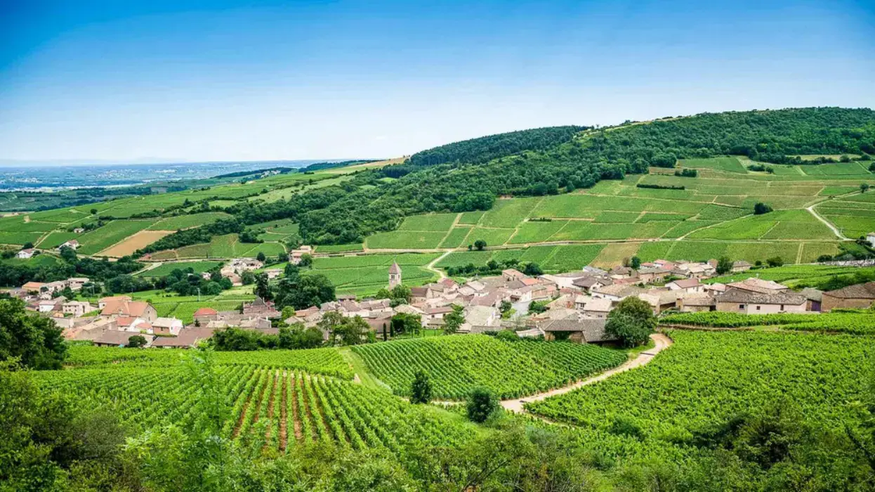 Le Dracy Hôtel et Spa 19