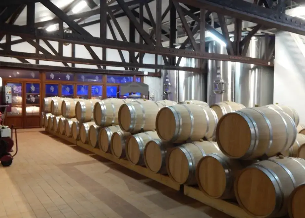 Château Maucaillou 3
