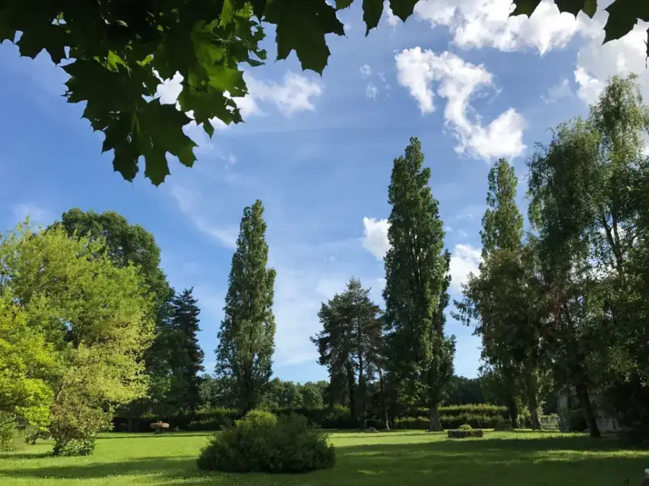 Domaine du Mijarnier 7