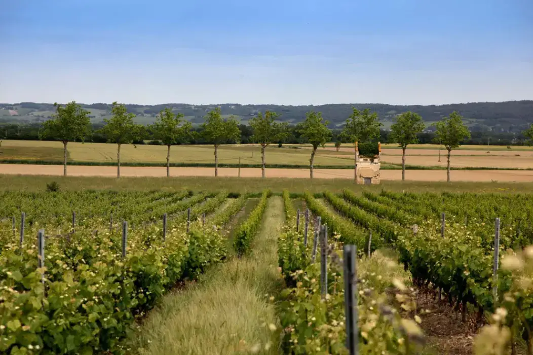 Domaine Carcenac 2