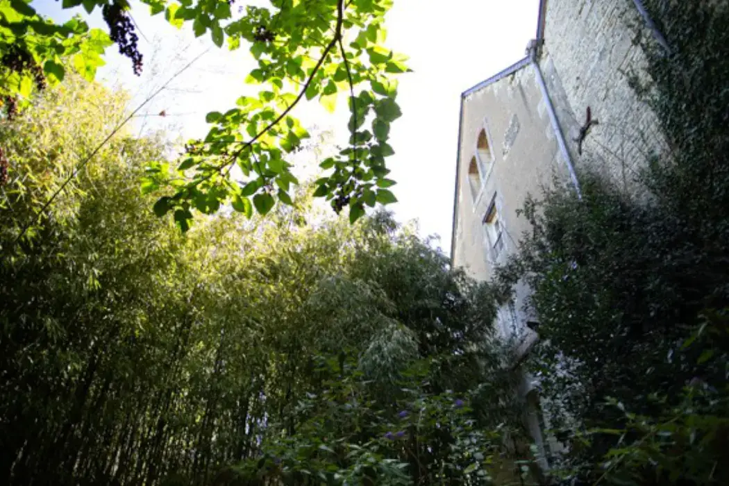 La Minoterie de Mauzé-sur-le-Mignon 5