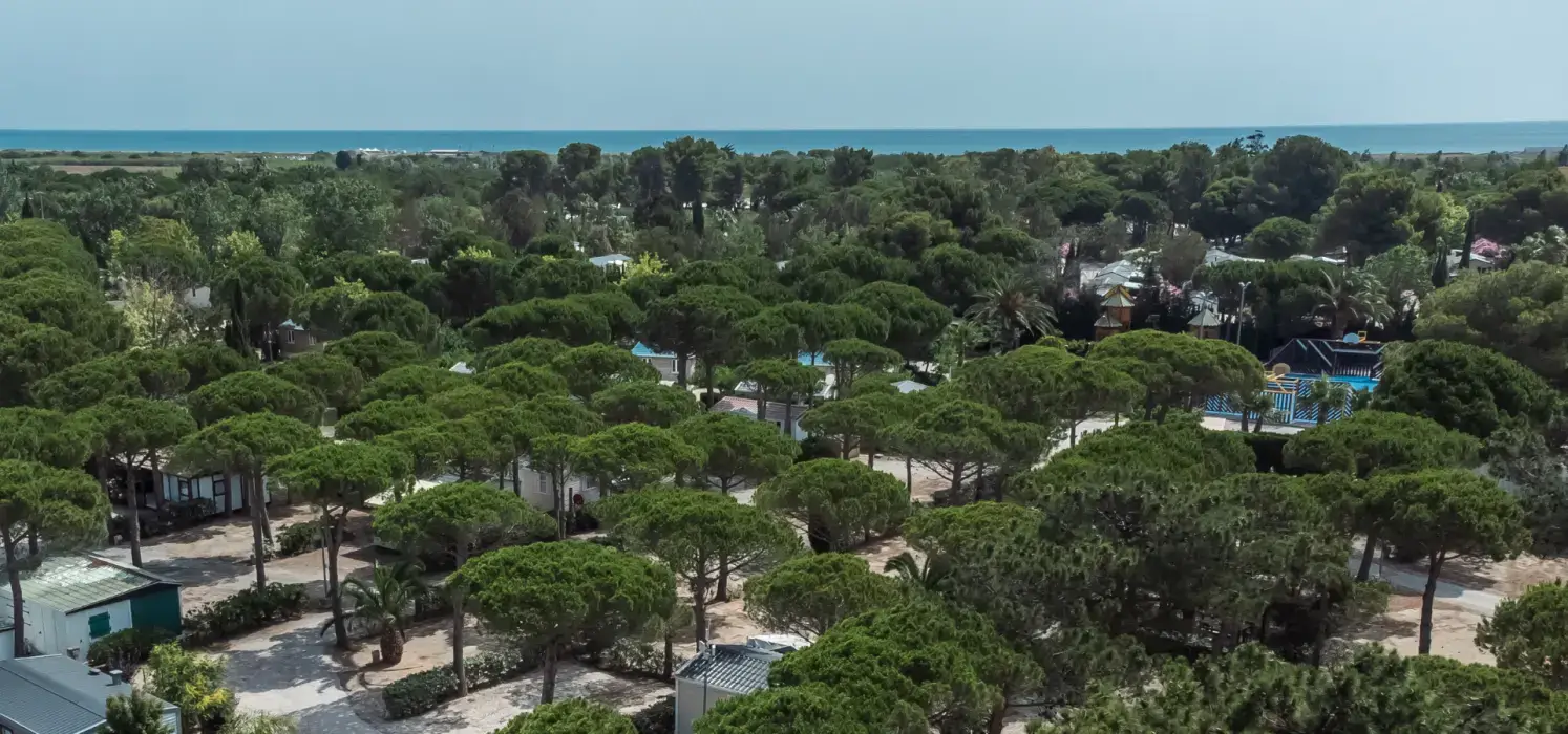 Camping Le Calypso - Torreilles Plage 3