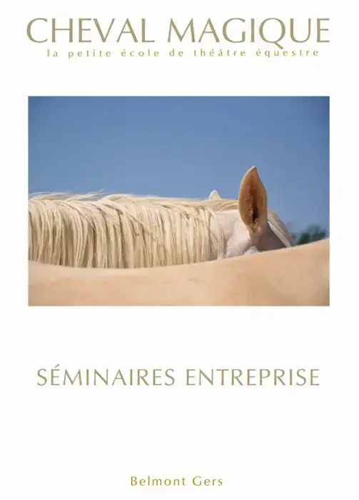 Cheval Magique 2