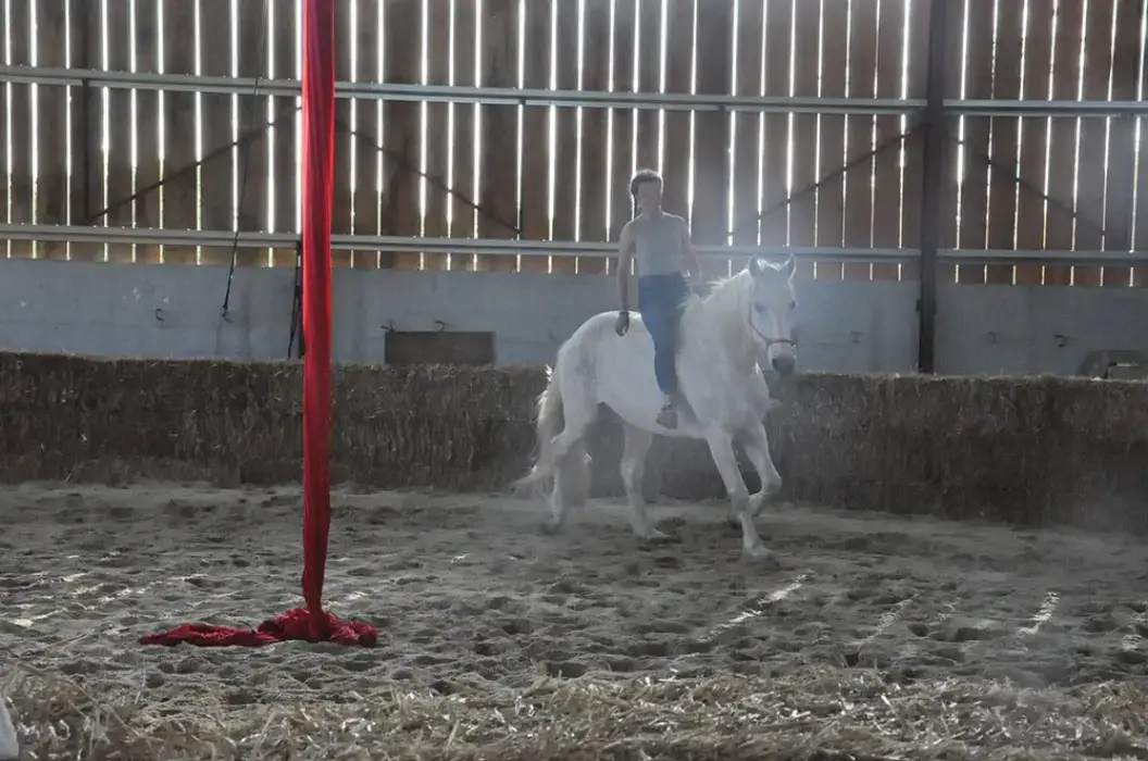 Cheval Magique 6