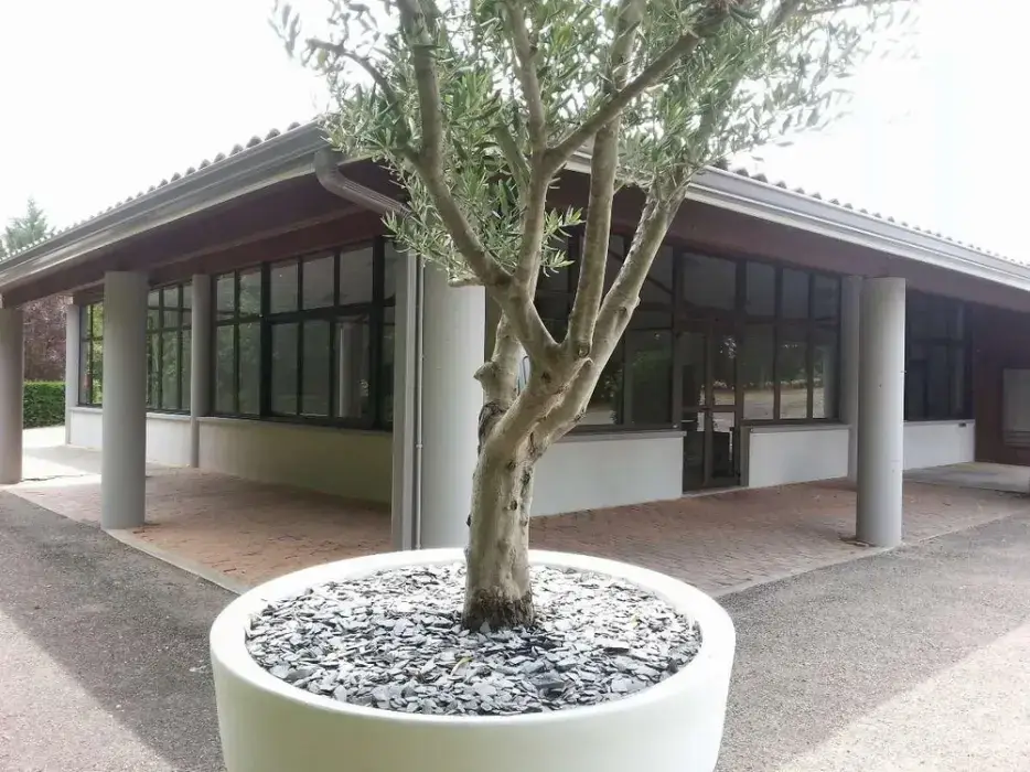 Domaine du Longchamps