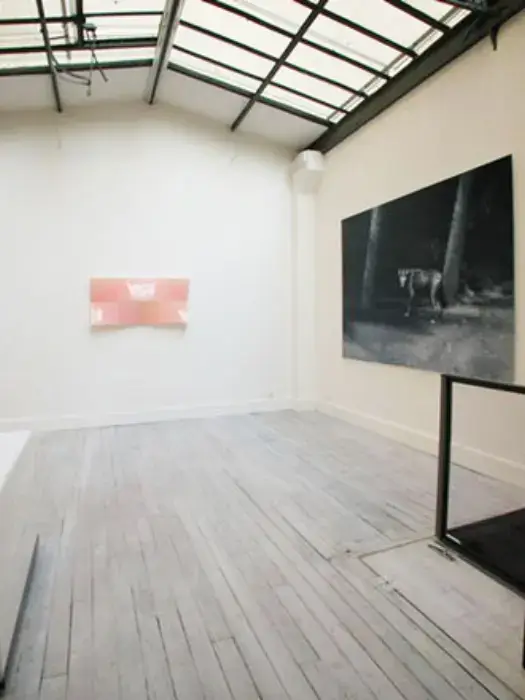 Galerie Pascal Vanhoecke 2