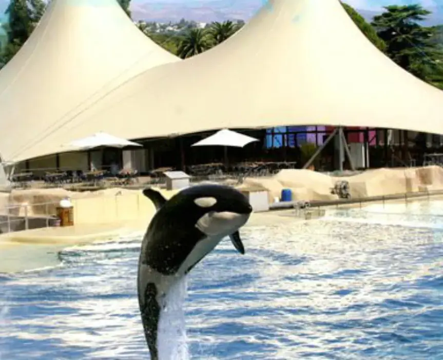 Marineland 6