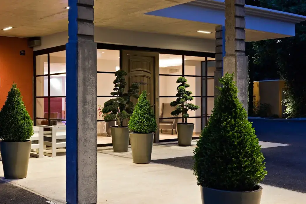 Best Western Plus Le Lavarin 5