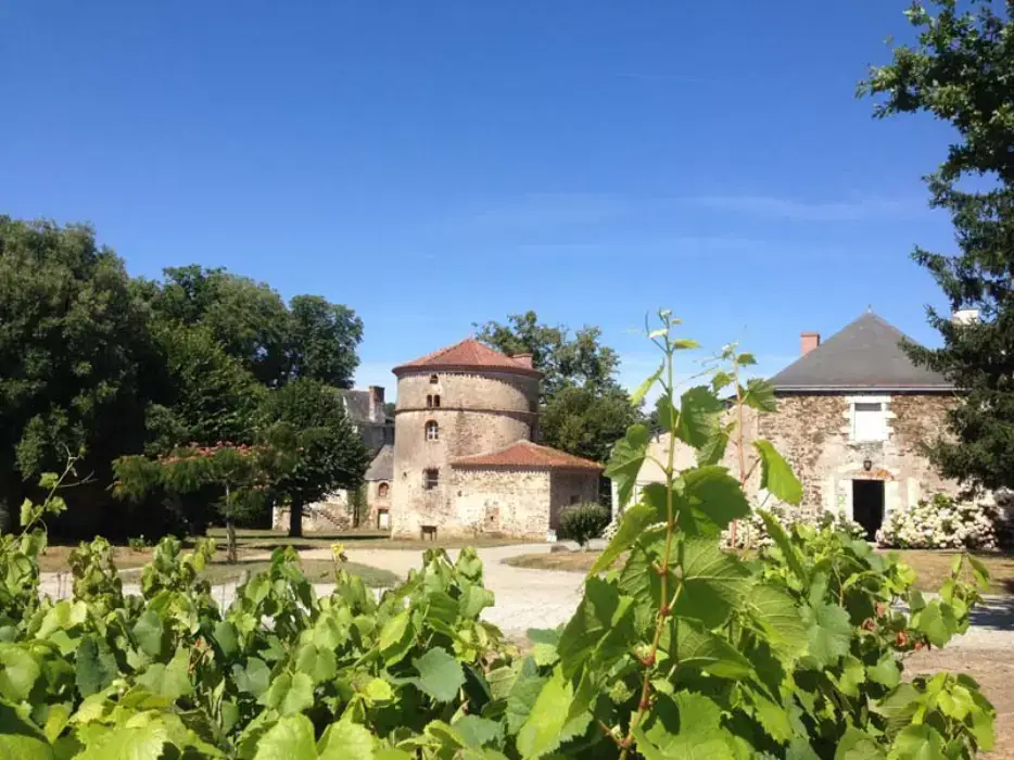 Château du Coing 3