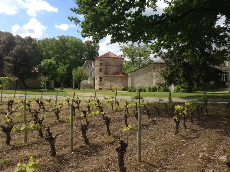 Château du Coing 5