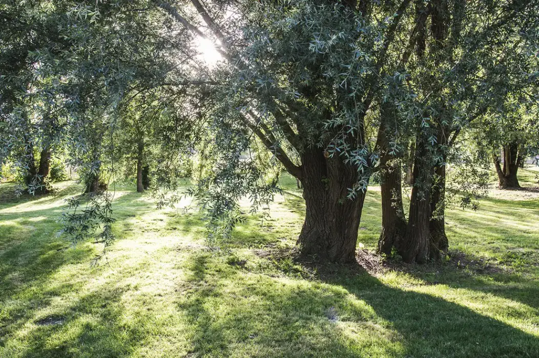 L'Escale des Châteaux de la Loire 8