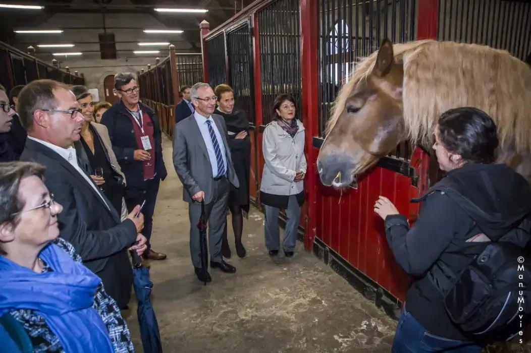 Haras National de Lamballe 6