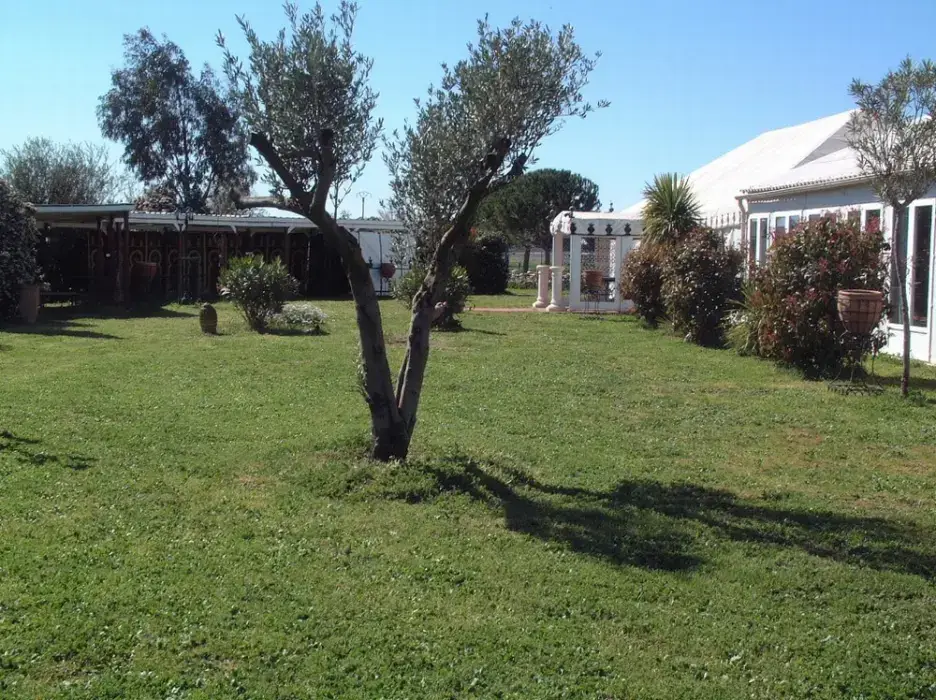 Domaine de l'Ambre 6