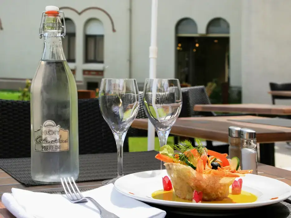 Mercure Vichy Thermalia 8