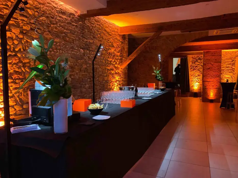 Domaine de l'Ile Barbe 6