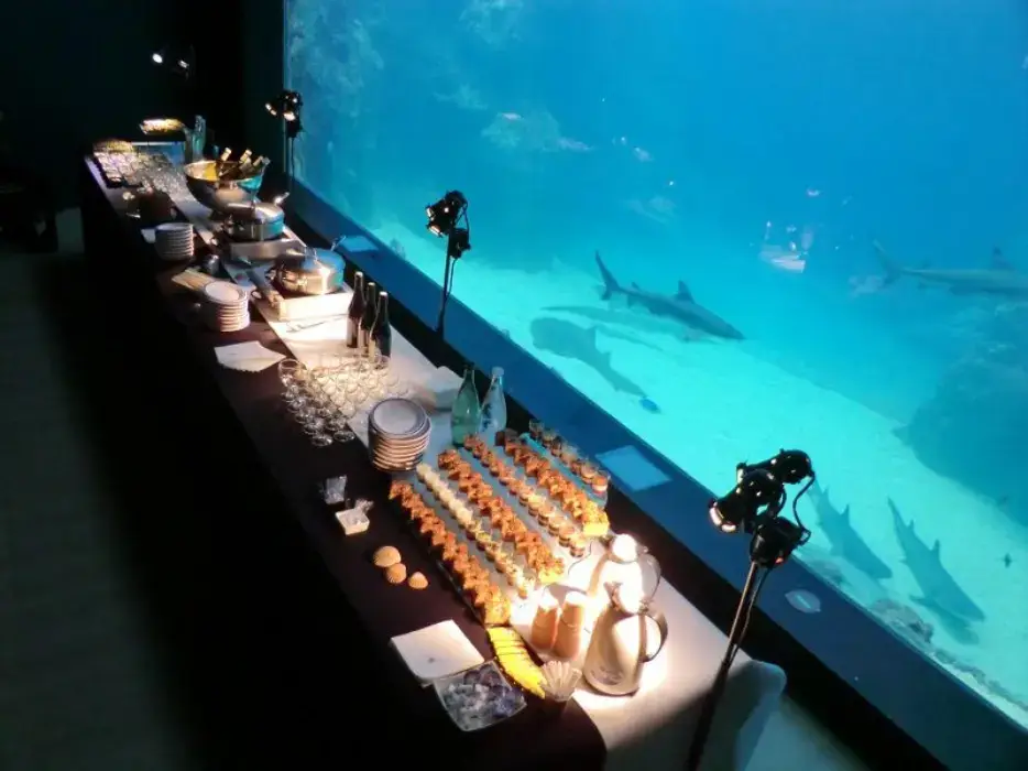 L'Aquarium de Lyon 2