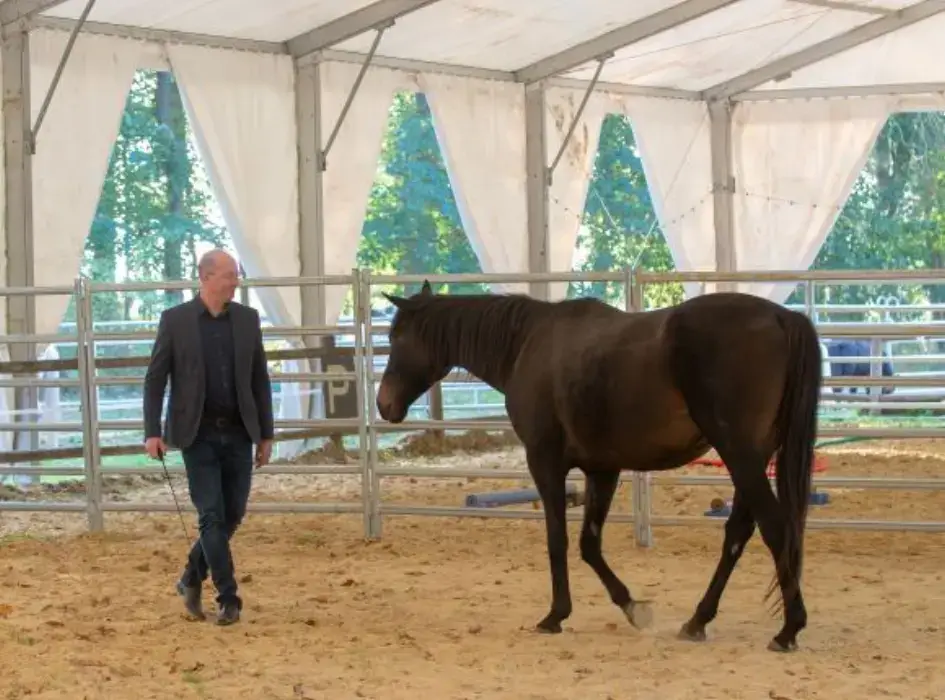 Le Domaine des Cormellas 17