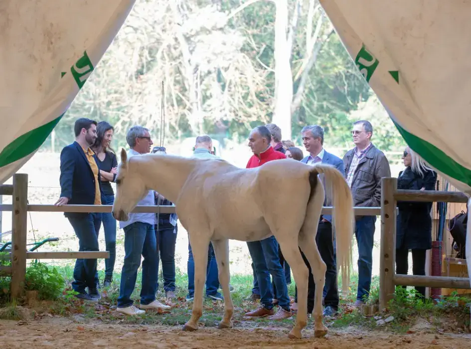 Le Domaine des Cormellas 18