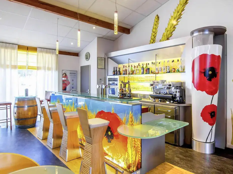 Ibis Montauban 7