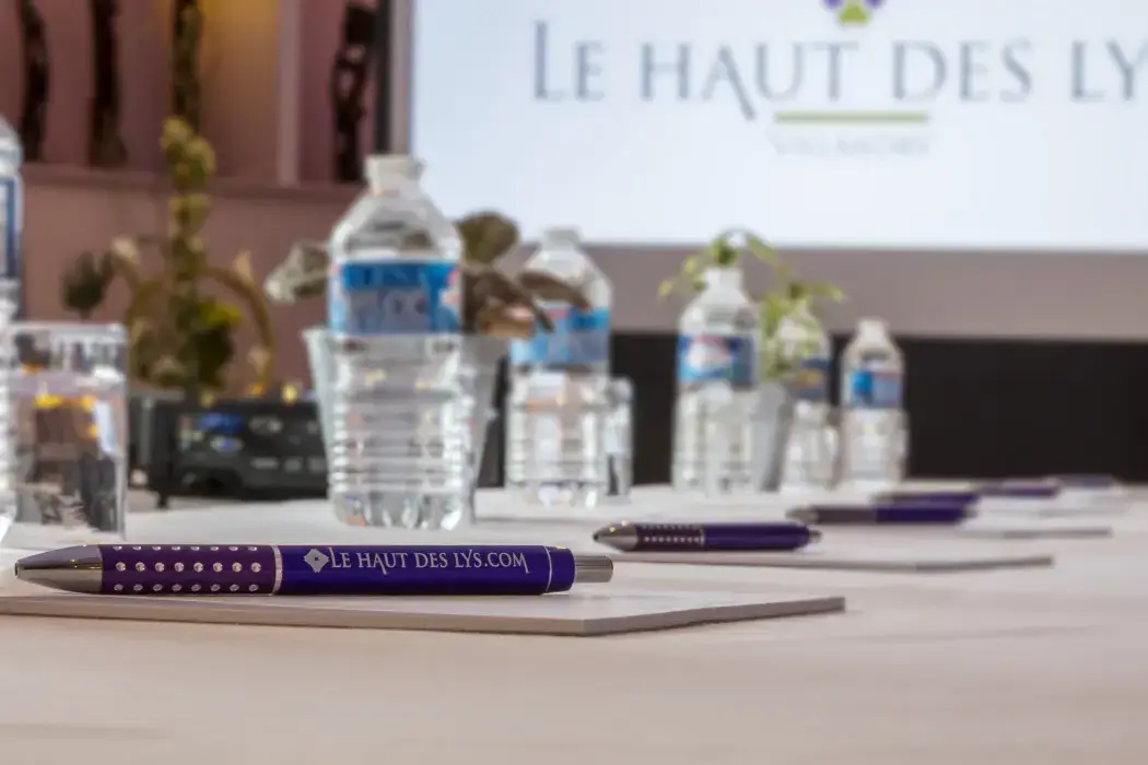 Hôtel Le Haut des Lys 11