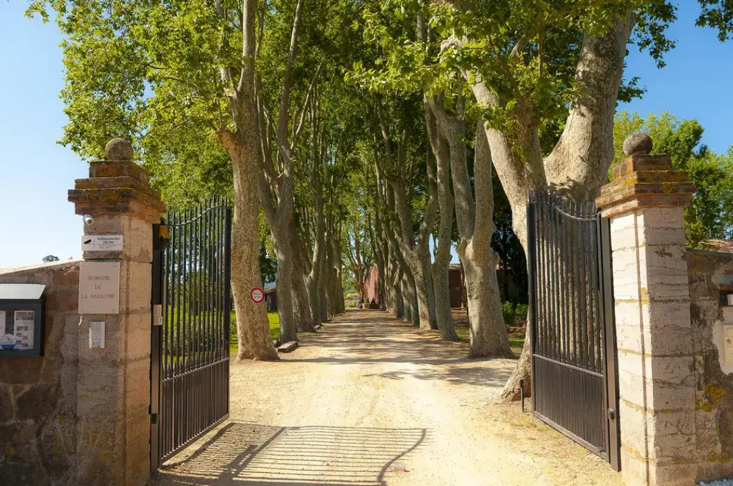 Domaine de la Baratonne 11