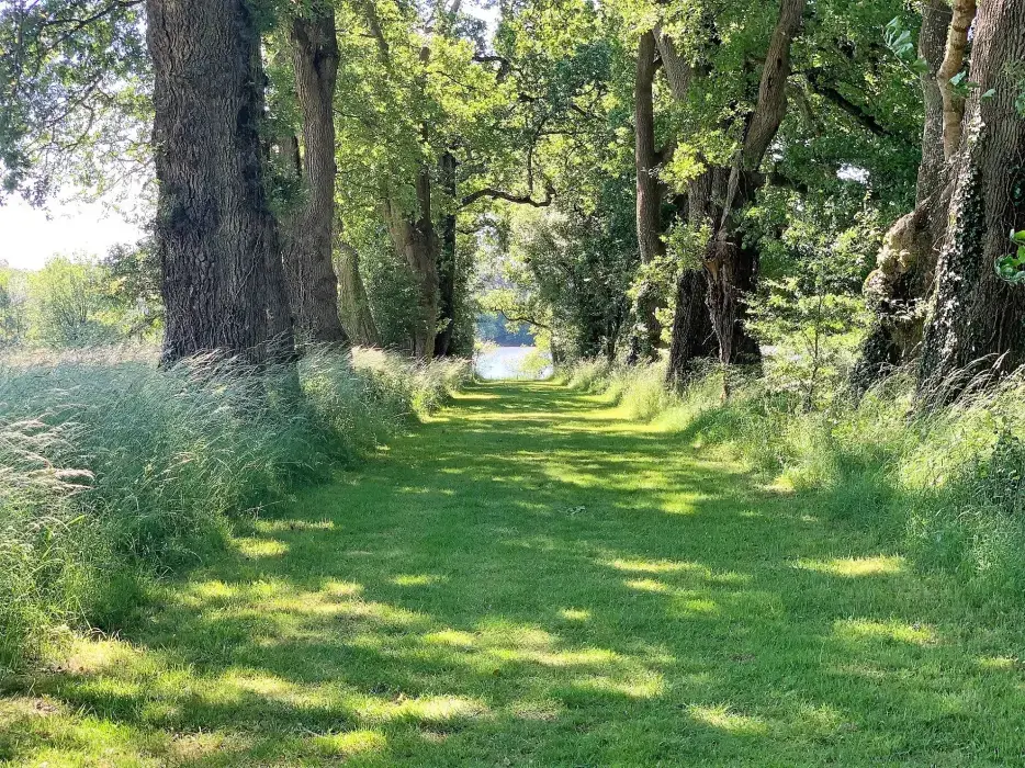 Le Domaine de la Briandais 7