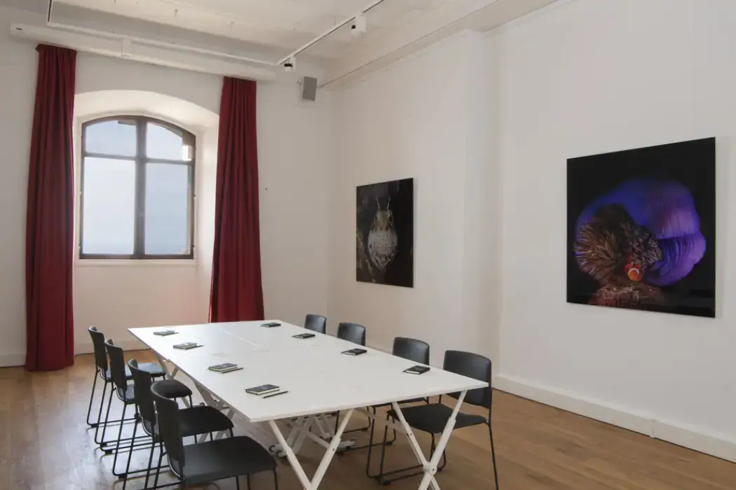 Musée Océanographique de Monaco 8