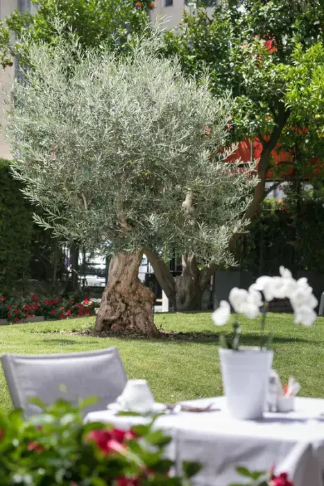Best Western Plus Hôtel Brice Garden 10