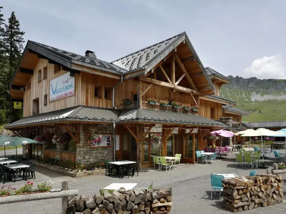 Chalet Hôtel Vacca Park 6