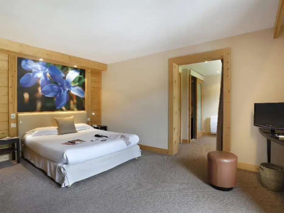 Chalet Hôtel Vacca Park 9
