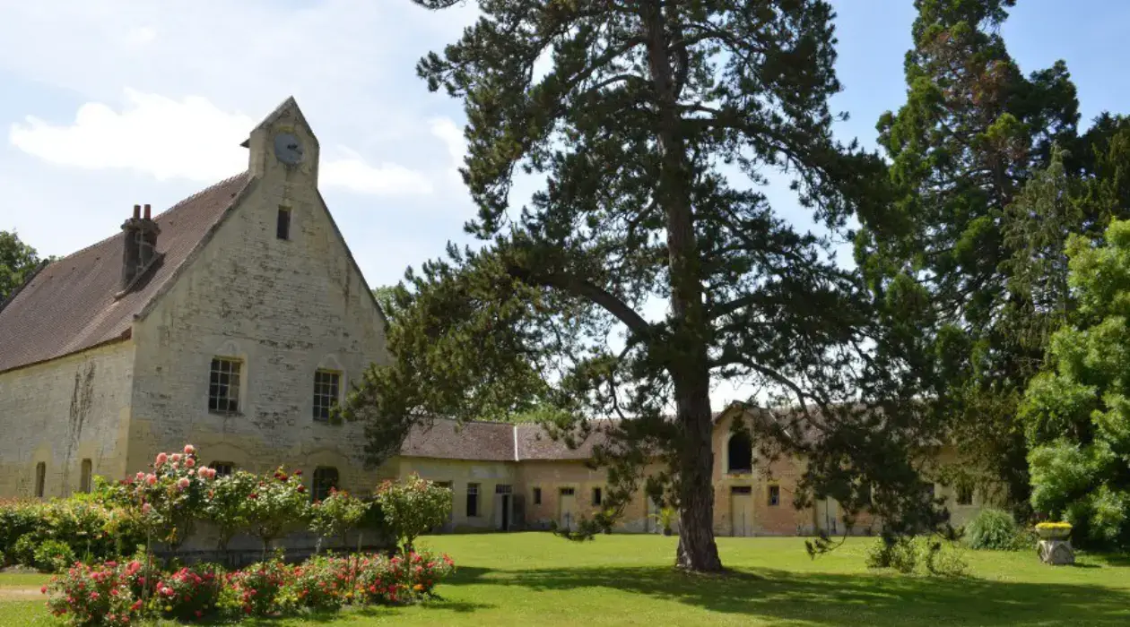 Château de Rots 4