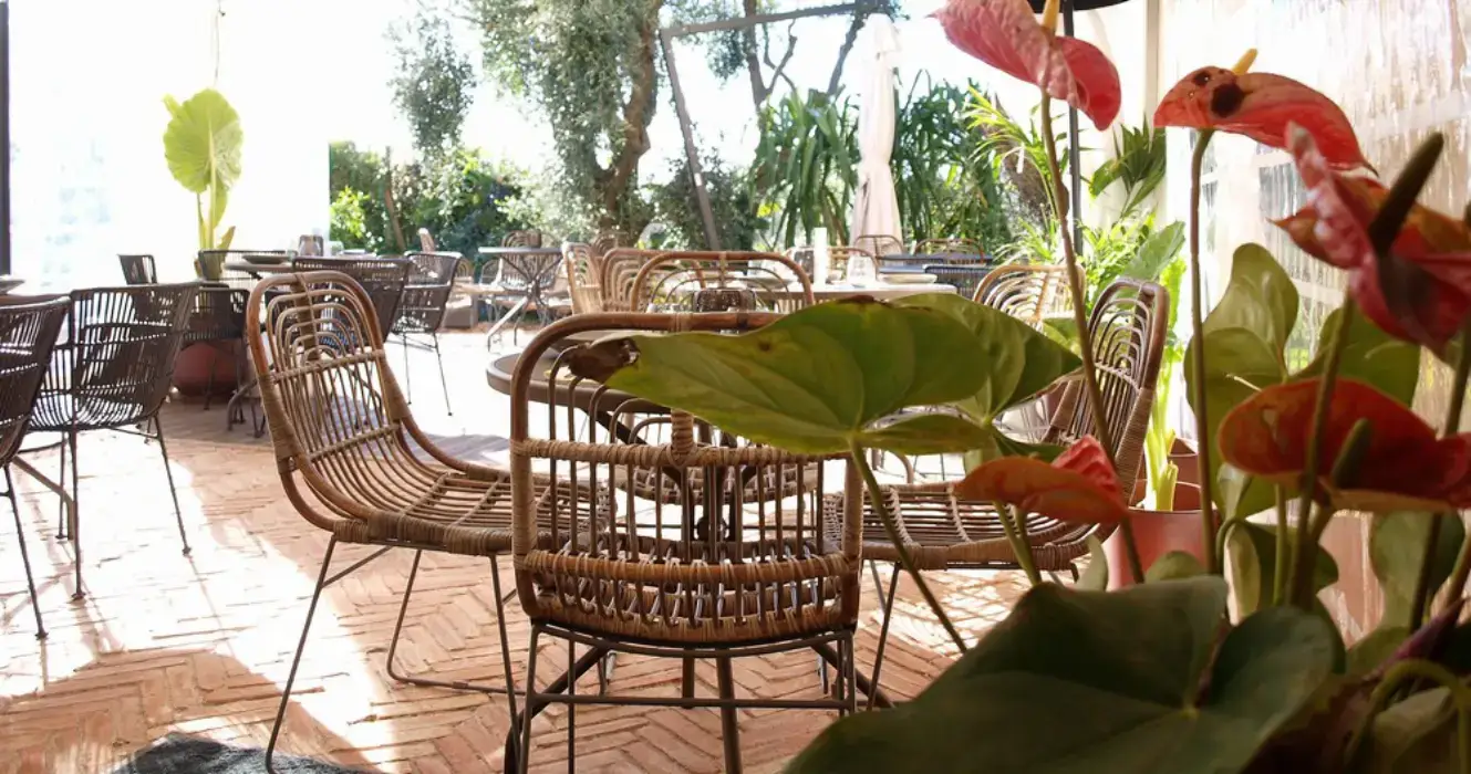 Avocado Hôtel Restaurant 3