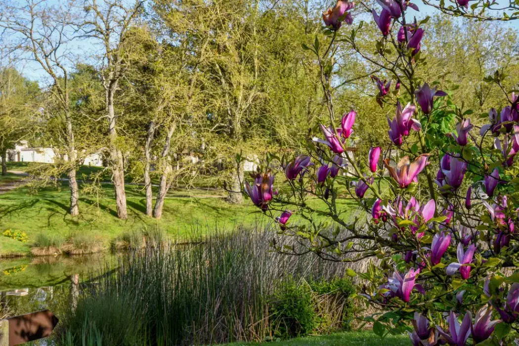 Les Jardins de L'Anjou 31