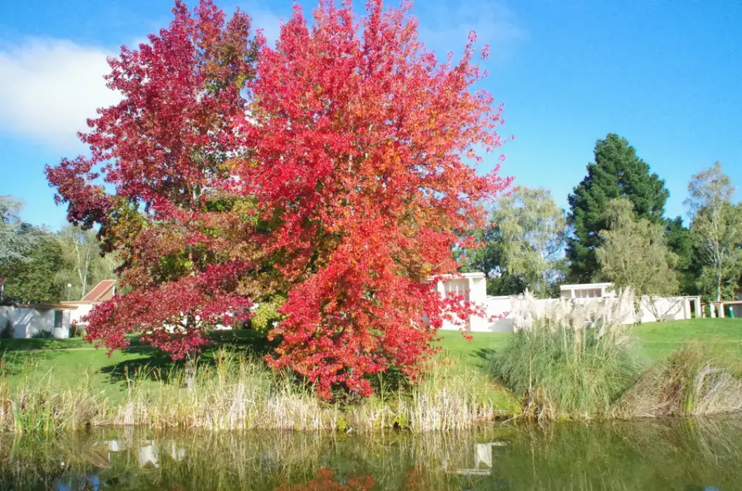 Les Jardins de L'Anjou 48