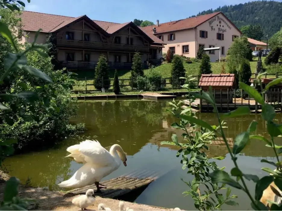 Le Régal 6