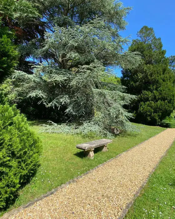 Manoir des Cavaliers 3