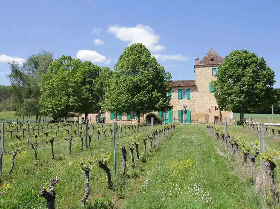 Domaine de la Vitrolle 7
