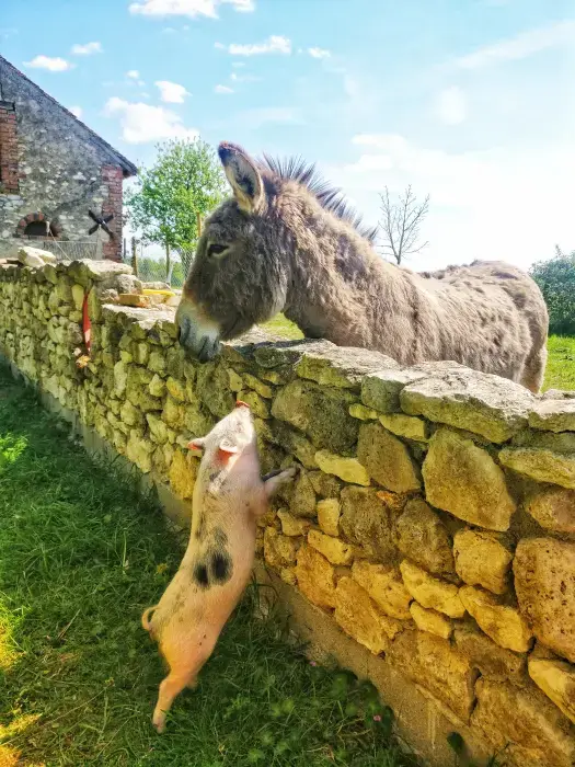 Gîte des Potes 17