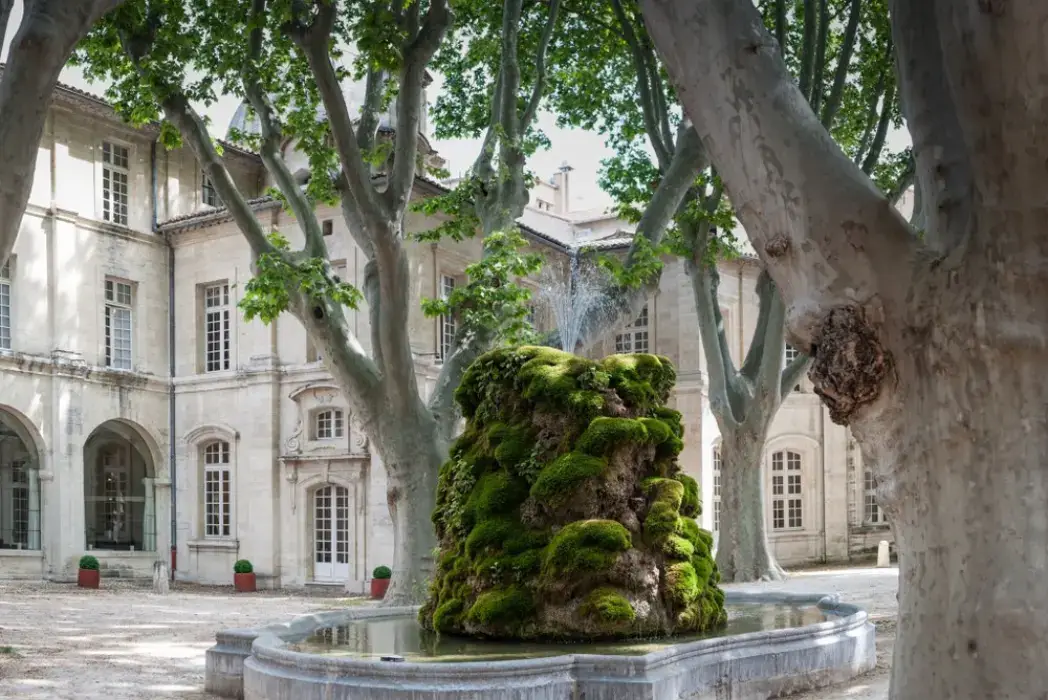 Cloïtre Saint Louis 2
