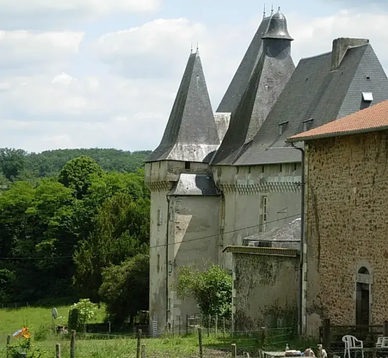 Château de Mavaleix 3