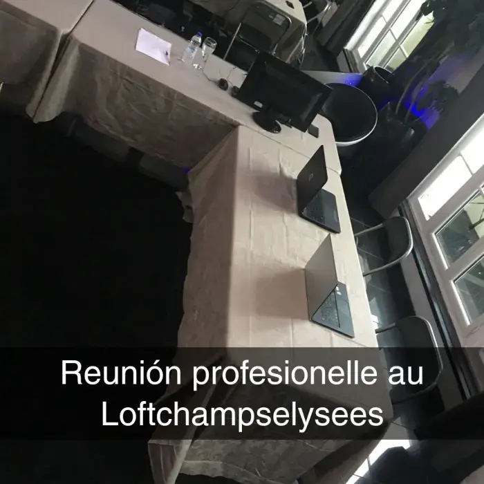 Loft Champs Elysées 6