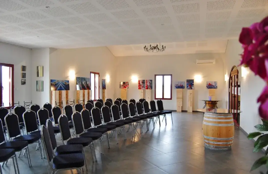 Château Pichon Bellevue 5